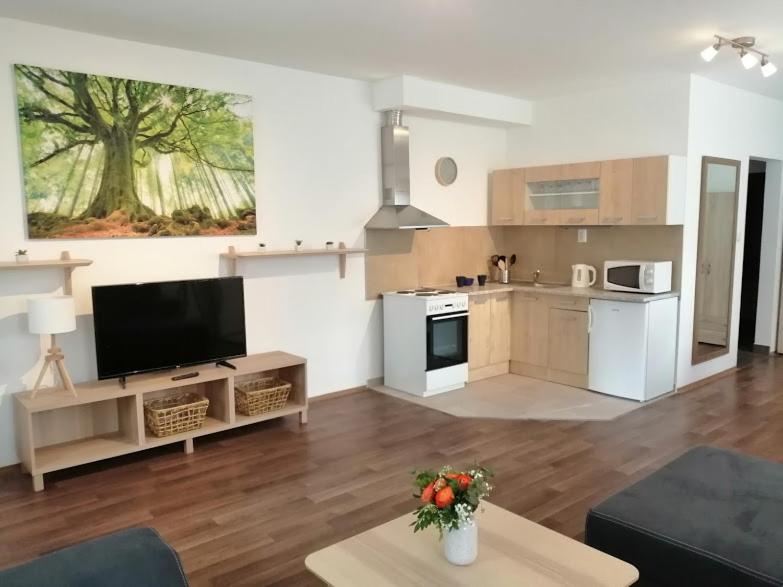 Apartmany U Stribrnych Градец-Кралове Экстерьер фото